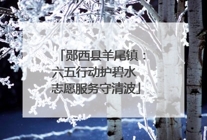 郧西县羊尾镇：六五行动护碧水 志愿服务守清波