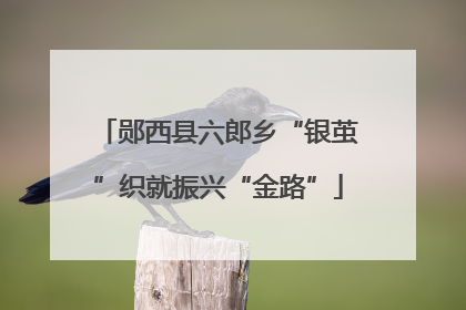 郧西县六郎乡“银茧”织就振兴“金路”