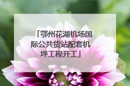 鄂州花湖机场国际公共货站配套机坪工程开工