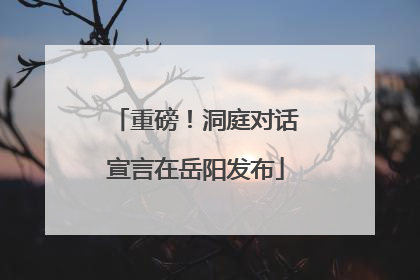 重磅！洞庭对话宣言在岳阳发布
