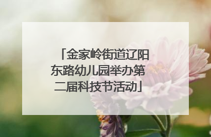 金家岭街道辽阳东路幼儿园举办第二届科技节活动