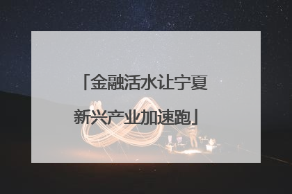 金融活水让宁夏新兴产业加速跑