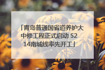 青岛普通国省道养护大中修工程正式启动 S214南城线率先开工