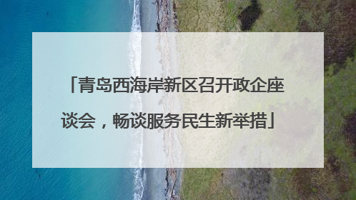青岛西海岸新区召开政企座谈会，畅谈服务民生新举措