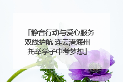 静音行动与爱心服务双线护航 连云港海州托举学子中考梦想