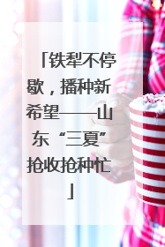 铁犁不停歇，播种新希望——山东“三夏”抢收抢种忙