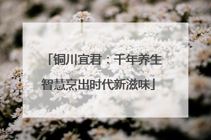 铜川宜君：千年养生智慧烹出时代新滋味