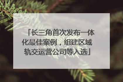 长三角首次发布一体化最佳案例，组建区域轨交运营公司等入选