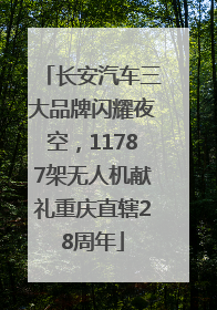 长安汽车三大品牌闪耀夜空，11787架无人机献礼重庆直辖28周年