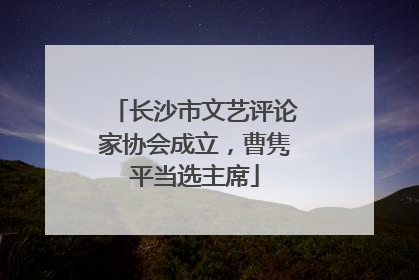 长沙市文艺评论家协会成立，曹隽平当选主席