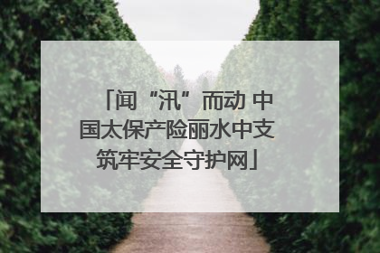 闻“汛”而动 中国太保产险丽水中支筑牢安全守护网