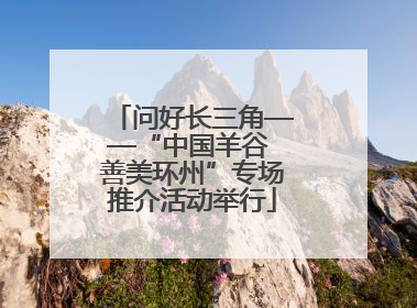 问好长三角——“中国羊谷 善美环州”专场推介活动举行
