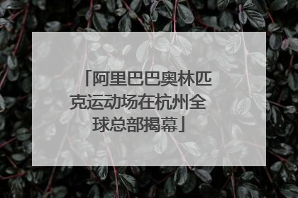 阿里巴巴奥林匹克运动场在杭州全球总部揭幕