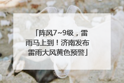 阵风7~9级，雷雨马上到！济南发布雷雨大风黄色预警