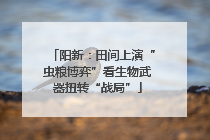 阳新：田间上演“虫粮博弈”看生物武器扭转“战局”