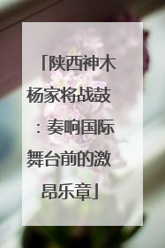 陕西神木杨家将战鼓：奏响国际舞台前的激昂乐章
