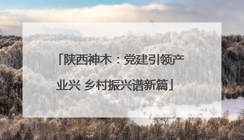 陕西神木：党建引领产业兴 乡村振兴谱新篇
