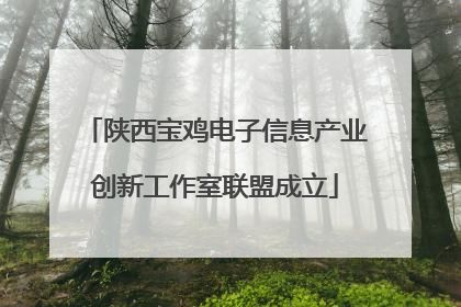 陕西宝鸡电子信息产业创新工作室联盟成立
