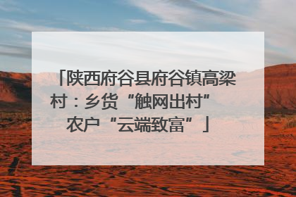陕西府谷县府谷镇高梁村：乡货“触网出村” 农户“云端致富”