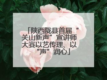 陕西陇县首届“关山新声”宣讲师大赛以艺传理、以“声”润心