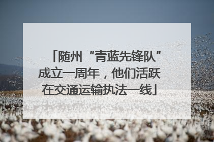 随州“青蓝先锋队”成立一周年，他们活跃在交通运输执法一线