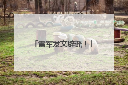 雷军发文辟谣！
