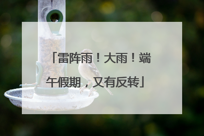 雷阵雨！大雨！端午假期，又有反转