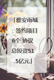 雅安雨城：签约项目6个 协议总投资51.5亿元