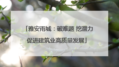 雅安雨城：破难题 挖潜力 促进建筑业高质量发展