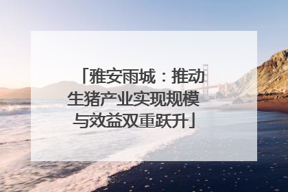 雅安雨城：推动生猪产业实现规模与效益双重跃升