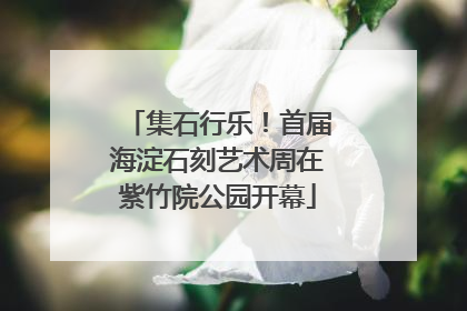 集石行乐！首届海淀石刻艺术周在紫竹院公园开幕