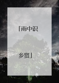 雨中识乡贤