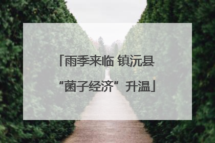 雨季来临 镇沅县“菌子经济”升温