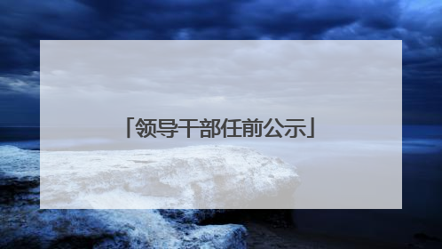 领导干部任前公示