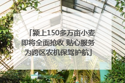 颍上150多万亩小麦即将全面抢收 贴心服务为跨区农机保驾护航