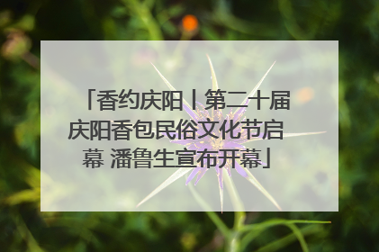 香约庆阳丨第二十届庆阳香包民俗文化节启幕 潘鲁生宣布开幕
