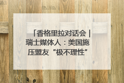 香格里拉对话会｜瑞士媒体人：美国施压盟友“极不理性” 欧洲国家无意与中国“脱钩断链”