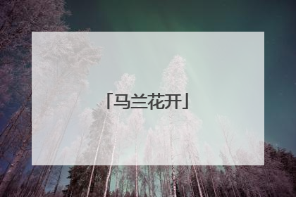 马兰花开
