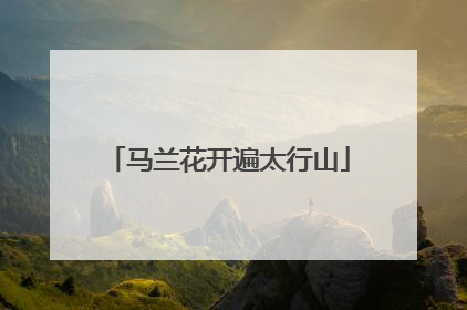 马兰花开遍太行山