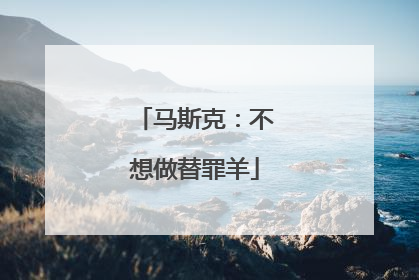 马斯克：不想做替罪羊