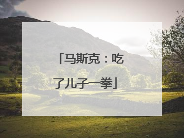 马斯克：吃了儿子一拳