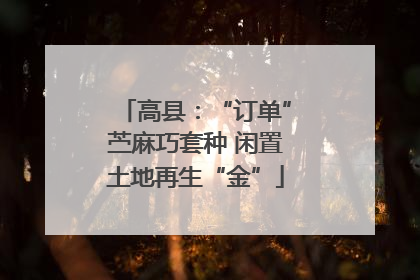 高县：“订单”苎麻巧套种 闲置土地再生“金”