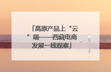 高原产品上“云”端——西藏电商发展一线观察