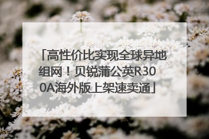高性价比实现全球异地组网！贝锐蒲公英R300A海外版上架速卖通