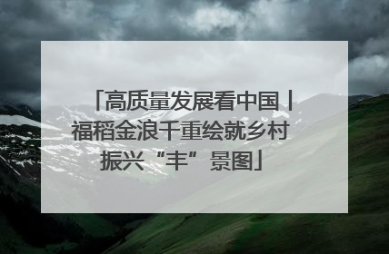 高质量发展看中国丨福稻金浪千重绘就乡村振兴“丰”景图