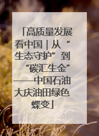 高质量发展看中国｜从“生态守护”到“碳汇生金”——中国石油大庆油田绿色蝶变
