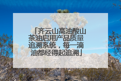 齐云山高油酸山茶油启用产品质量追溯系统，每一滴油都经得起追溯