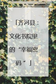 齐河县：文化书院里的“幸福密码 ”