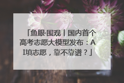 鱼眼·围观丨国内首个高考志愿大模型发布：AI填志愿，靠不靠谱？