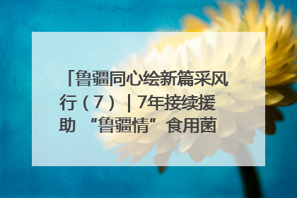 鲁疆同心绘新篇采风行（7）｜7年接续援助 “鲁疆情”食用菌从1.0走向4.0